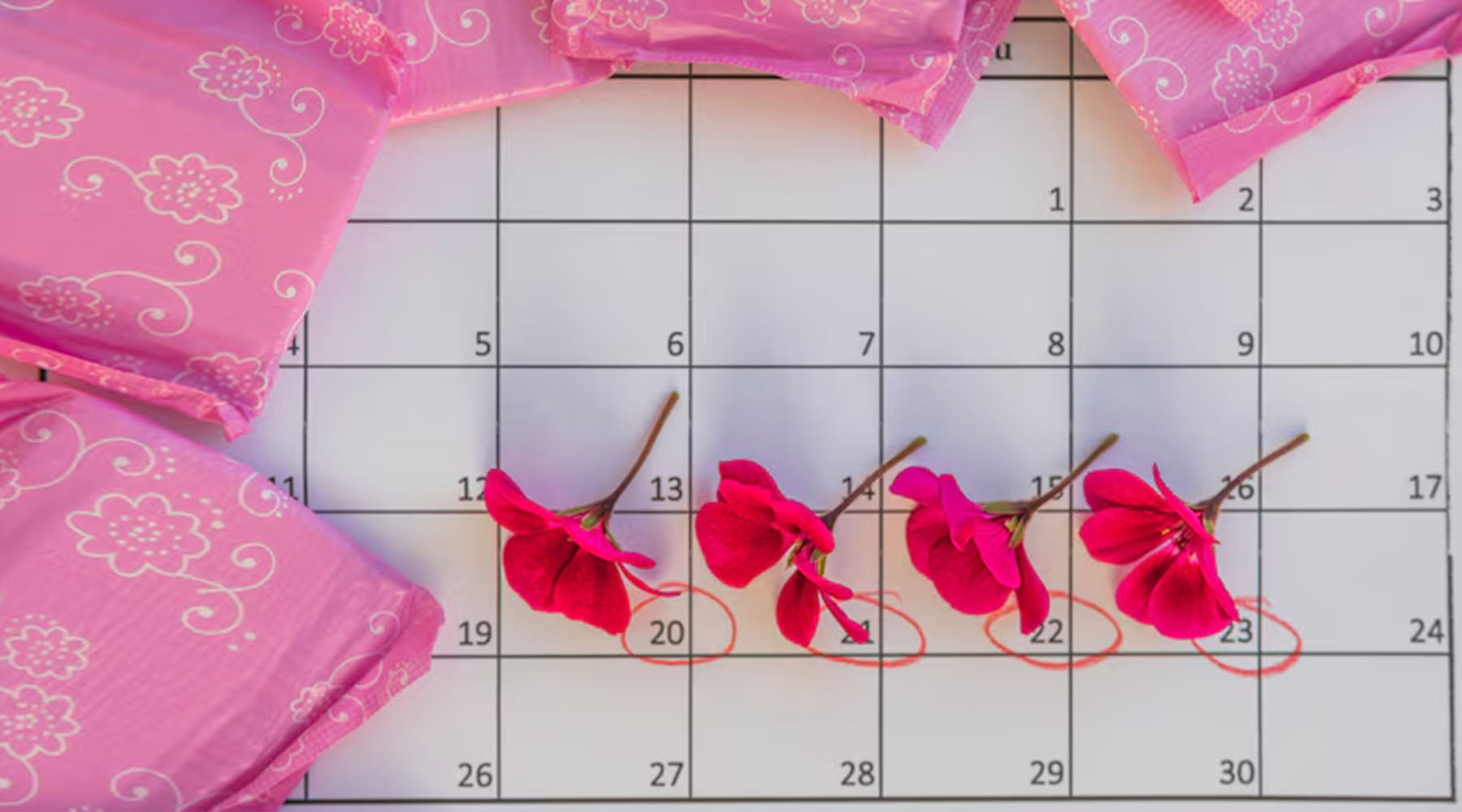 Period: Everything You Need to Know