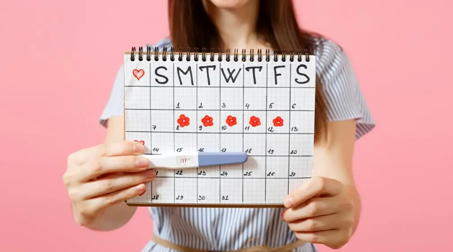 The Best Tips for Female Fertility When Trying to Conceive